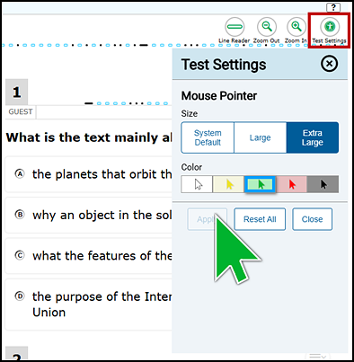 Enlarged mouse pointer in the shape of an arrow head on a practice test question. The Test Settings icon is indicated.