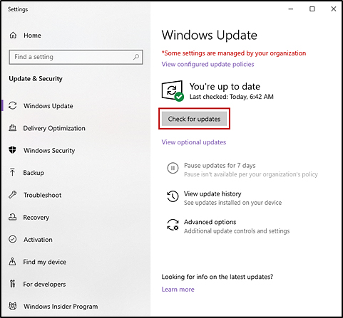 Windows Update screen with the Check for updates button indicated