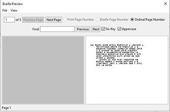 Braille Blaster window displaying a preview of the braille content.