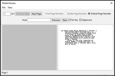 Braille Blaster window displaying a preview of the braille content.