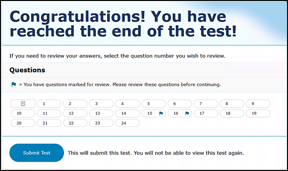 Sample Review screen with items flagged as mark for review.