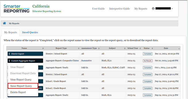 Screenshot of Save Report Query Option dropdown.