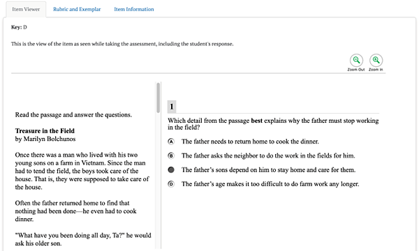 Item-Level Tabs shown for an item number are: the Item Viewer, Rubric and Exemplar, and Item Information. The Item Viewer tab shows the exemplar or correct answer, the passage, and the question. 