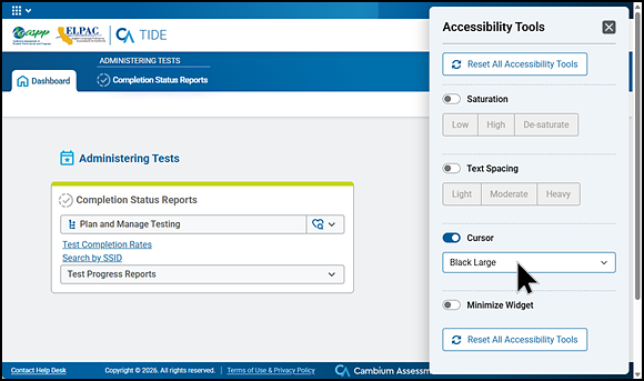 Accessibility Tools panel with toggles and options for saturation, text spacing, cursor, and minimize widget.