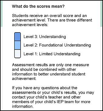A description of the scores for overall achievement levels on the first page of an SSR.