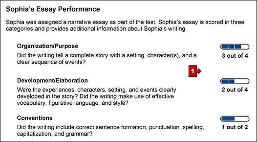 The section on an SSR with the student's essay performance and a callout pointing to the WER score gauges.