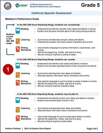 Sample grade five CSA SSR with performance area descriptions and results.