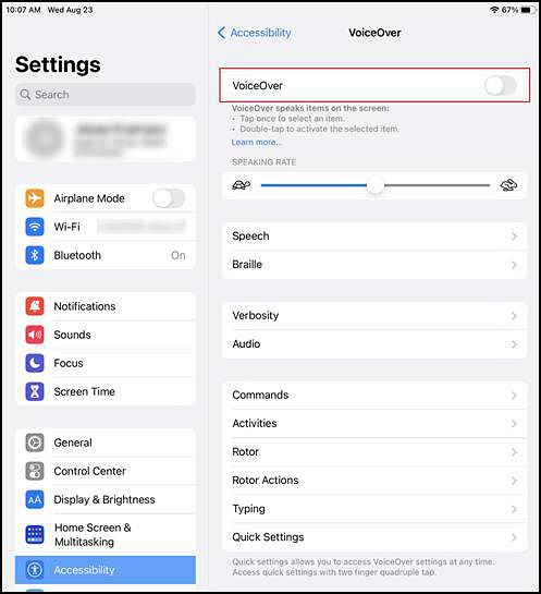 Voice Control panel in the iPadOS Settings interface with the VoiceOver option toggled off.