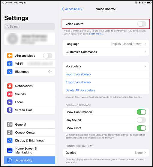 Voice Control panel in the iPadOS Settings interface with the Voice Control option toggled off.