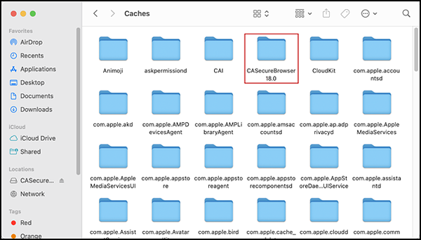 Caches interface with the CA Secure Browser folder indicated.
