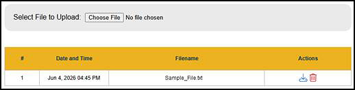 The Upload Supporting Document section after a document has been uploaded.